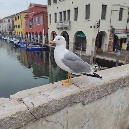 Ca' Dell'Angelo Bed and Breakfast Chioggia Exteriör bild
